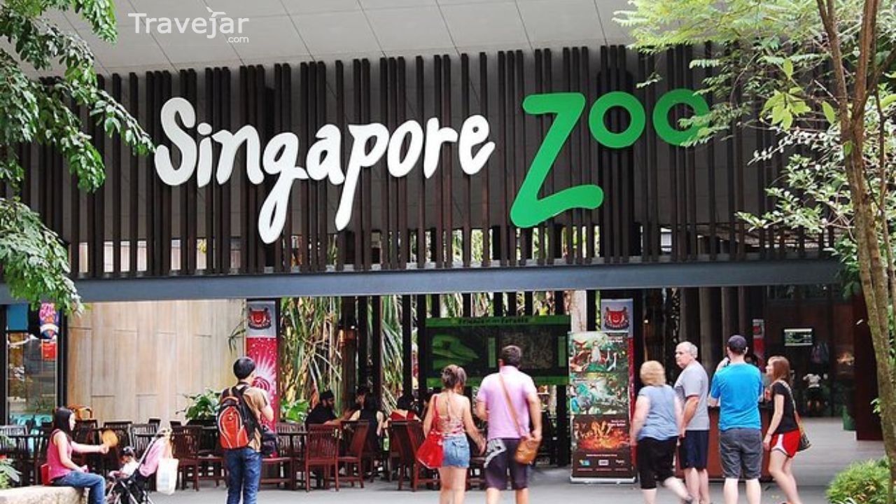 Singapore Zoo Booking: A Comprehensive Guide